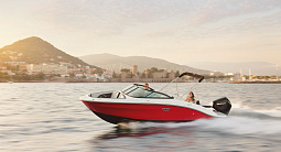SEA RAY SPX 210 OB